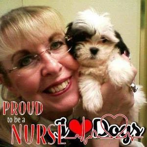 Meet your Posher, Ellen